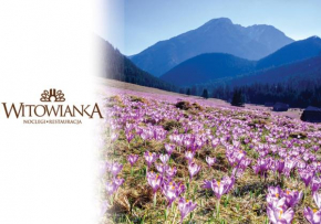 Отель Witowianka  Витув